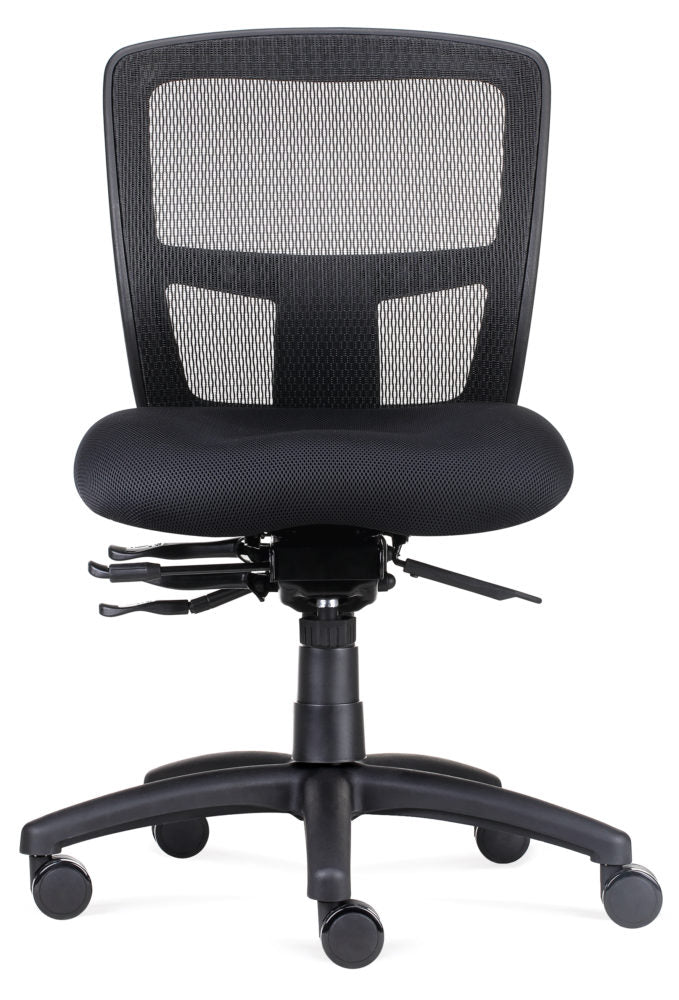 Ergo Task Chair