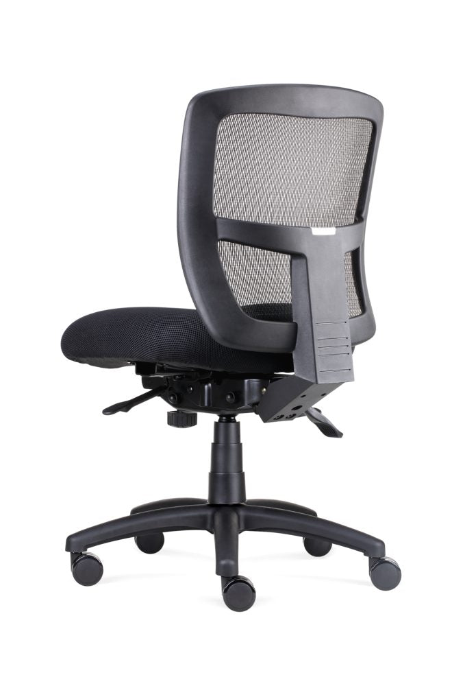 Ergo Task Chair